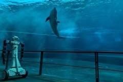 Spoke-4-RAISE-Alter-Ego-allAcquario-ha-incantato-i-visitatori-1