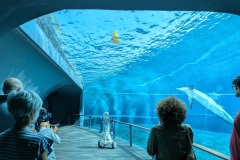 Spoke-4-RAISE-Alter-Ego-allAcquario-ha-incantato-i-visitatori-2