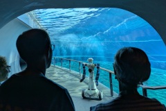 Spoke-4-RAISE-Alter-Ego-allAcquario-ha-incantato-i-visitatori-3