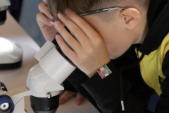 Engagement-con-la-ricerca-i-laboratori-di-RAISE-grazie-al-Festival-della-Scienza-04_lab