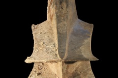 RAISE-I-tesori-sommersi-della-Sicilia-negli-USA-7