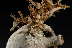 RAISE-I-tesori-sommersi-della-Sicilia-negli-USA-8