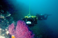 Ecorobotica-marina-di-Spoke-3-in-azione-grazie-a-NEPTUNE-01_rov_sub