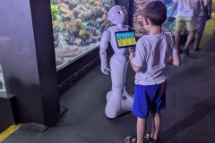 Pepper-incontra-i-visitatori-Spoke-4-Acquario-Genova-RAISE-1