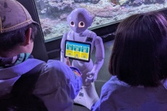 Pepper-incontra-i-visitatori-Spoke-4-Acquario-Genova-RAISE-2