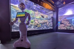 Pepper-incontra-i-visitatori-Spoke-4-Acquario-Genova-RAISE-3