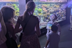 Pepper-incontra-i-visitatori-Spoke-4-Acquario-Genova-RAISE-5