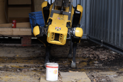 RAISE-Progetto-Rossini-copertina