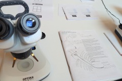 Scoprire-innovazione-nei-laboratori-del-RAISE-Village-1