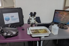 Spoke-3-e-4-presentano-tre-demo-marine-al-Festival-Blue-1