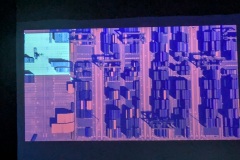 RAISEmotion-arte-e-scienza-in-scena-a-Genova-2