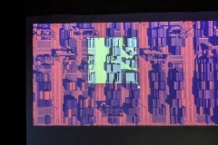 RAISEmotion-arte-e-scienza-in-scena-a-Genova-7