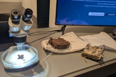 Ecorobotica-e-Scienza-in-Movimento-a-Palazzo-Ducale-4