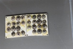 Ecorobotica-e-Scienza-in-Movimento-a-Palazzo-Ducale-5