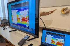 Ecorobotica-e-Scienza-in-Movimento-a-Palazzo-Ducale-7