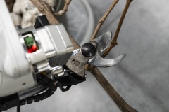 A-Euroflora-2025-il-progetto-VINUM-robotica-e-innovazione-per-la-viticoltura-del-futuro-4