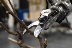 A-Euroflora-2025-il-progetto-VINUM-robotica-e-innovazione-per-la-viticoltura-del-futuro-5