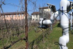 Ecosistema-RAISE-La-potatura-automatizzata-della-vite-Applicazione-di-ecorobotica-e-agricoltura-di-precisione-Spoke-3-1