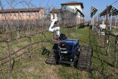 Ecosistema-RAISE-La-potatura-automatizzata-della-vite-Applicazione-di-ecorobotica-e-agricoltura-di-precisione-Spoke-3-3