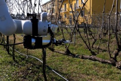 Ecosistema-RAISE-La-potatura-automatizzata-della-vite-Applicazione-di-ecorobotica-e-agricoltura-di-precisione-Spoke-3-4