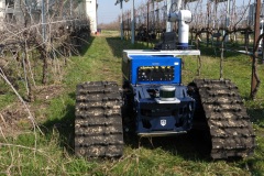 Ecosistema-RAISE-La-potatura-automatizzata-della-vite-Applicazione-di-ecorobotica-e-agricoltura-di-precisione-Spoke-3-6