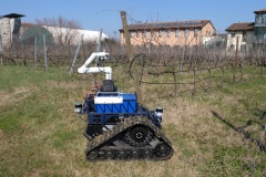 Ecosistema-RAISE-La-potatura-automatizzata-della-vite-Applicazione-di-ecorobotica-e-agricoltura-di-precisione-Spoke-3-7
