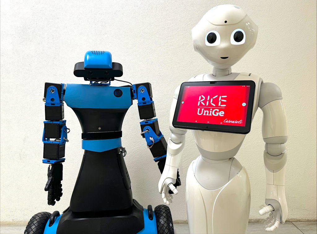 Ecosistema RAISE - Come accogliere i visitatori delle navi da crociera, con il supporto dei robot sociali