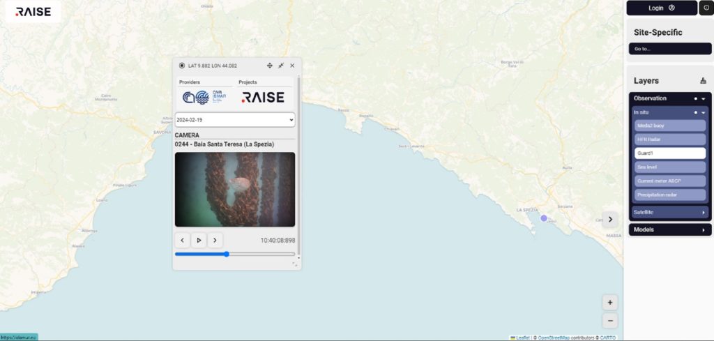 Ecosistema RAISE - Le prime interfacce degli strumenti digitali di gestione dei dati ambientali da ETT per lo spoke 3 di RAISE