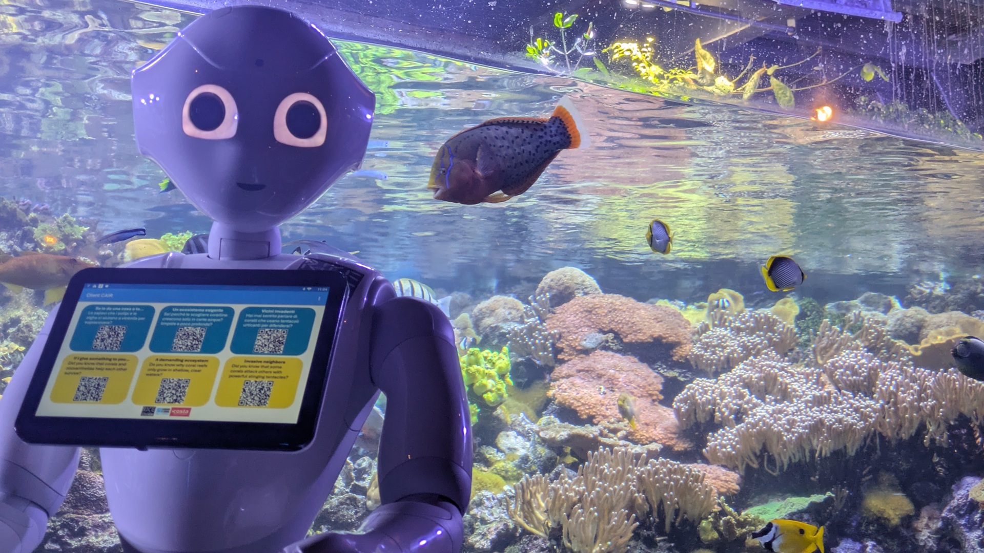 Pepper incontra i visitatori: Spoke 4 all’Acquario