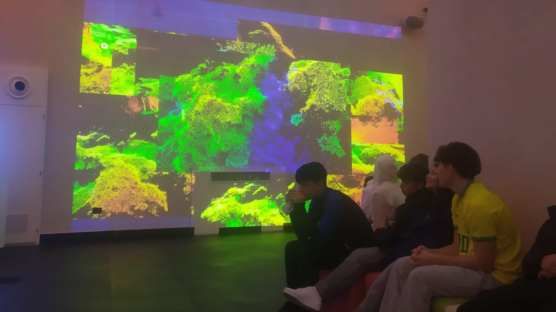 RAISE More than human: an immersive journey into the RAISE ecosystem