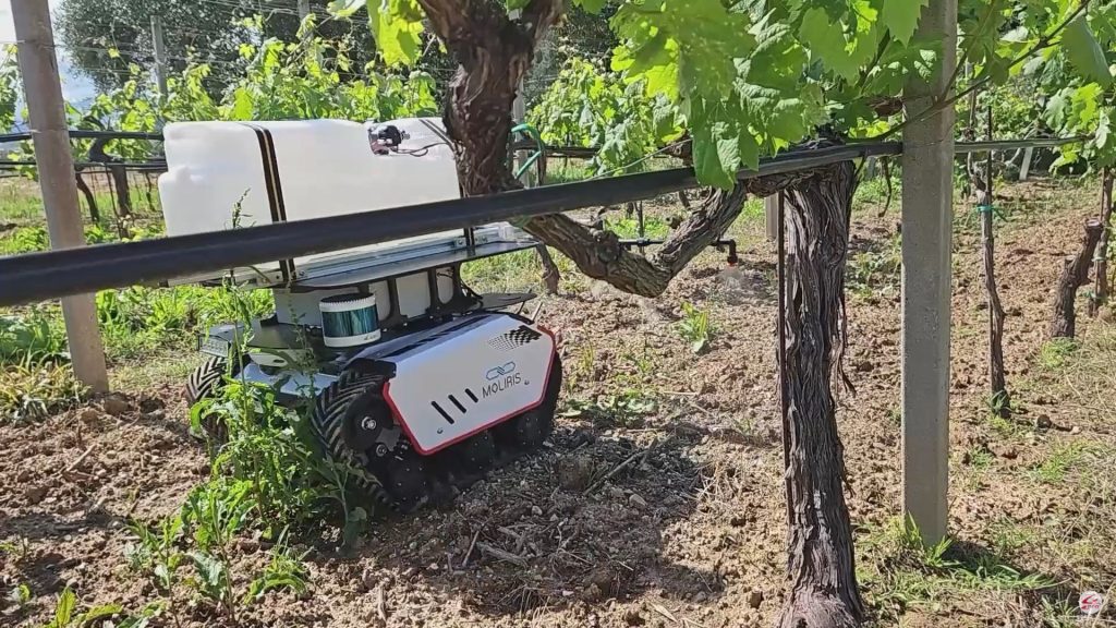 Distribuzione automatizzata di biostimolanti in vigneto: ecorobotica e ricerca agronomica nell’ambito di Spoke 3