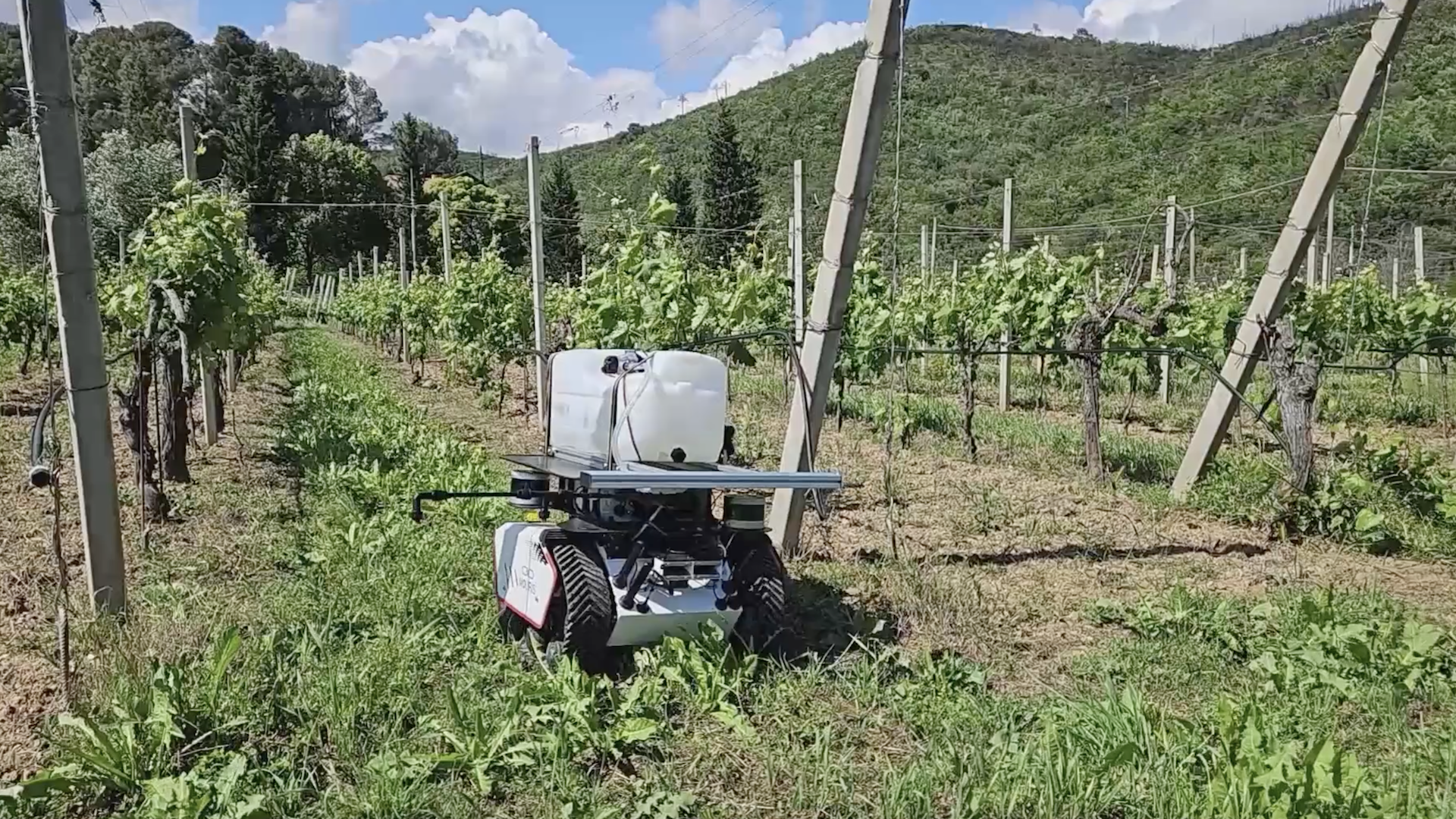 Distribuzione automatizzata di biostimolanti in vigneto: ecorobotica e ricerca agronomica nell’ambito di Spoke 3