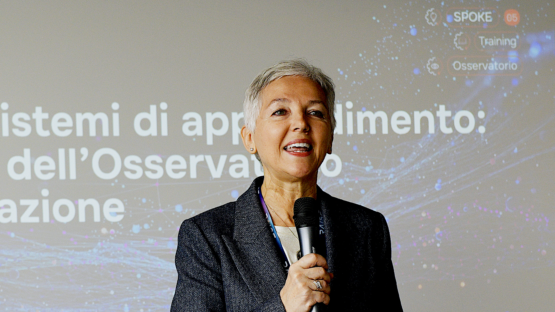 RAISE and learning Ecosystems: the contribution of the Observatory and Training